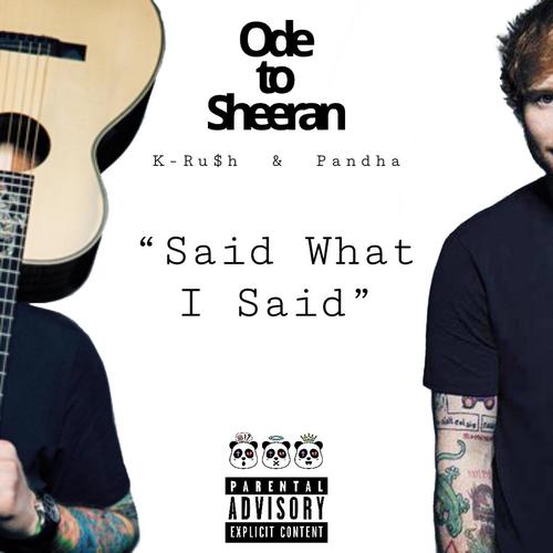 Said What I Said (feat. Pandha) [Explicit]