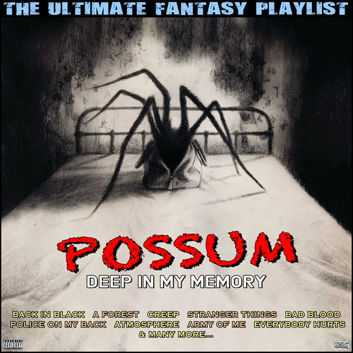 Possum Deep In My Memory The Ultimate Fantasy Playlist