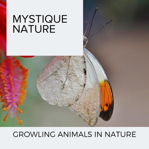 Mystique Nature - Growling Animals In Nature