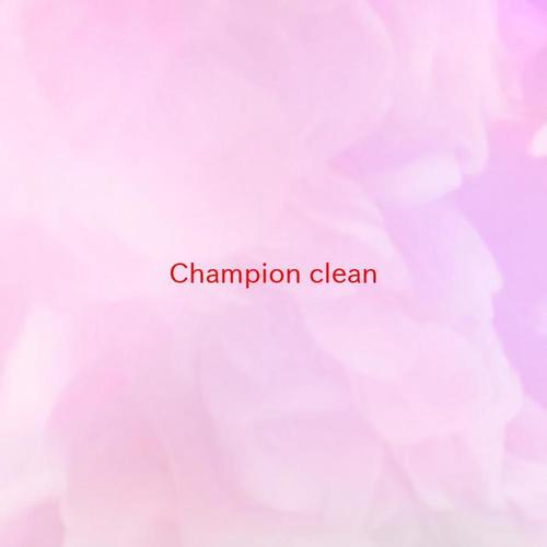 Champion (clean) [Karaoke]