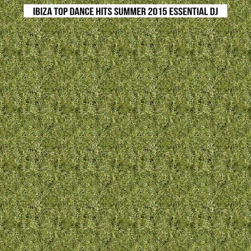 Ibiza Top Dance Hits Summer 2015 Essential DJ (Top 50 Songs Dance Hit Parade) [Explicit]