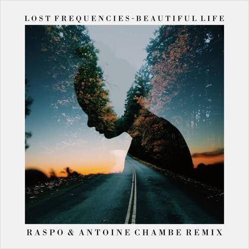 Beautiful Life (Raspo Remix)