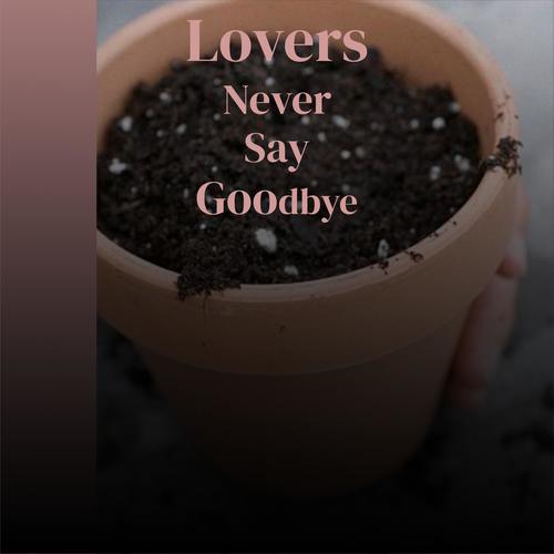 Lovers Never Say Goodbye