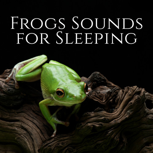 Frogs Sounds for Sleeping