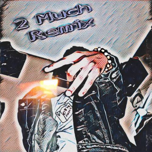 2 Much (Remix)