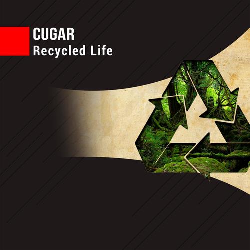 Recycled Life