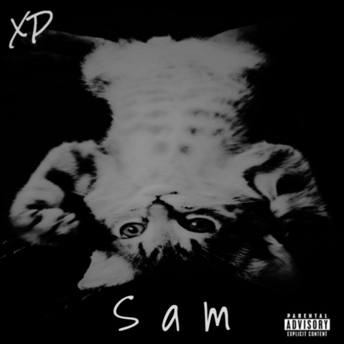 Sam (Explicit)