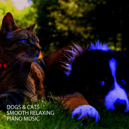 Dogs & Cats: Smooth Relaxing Piano Music