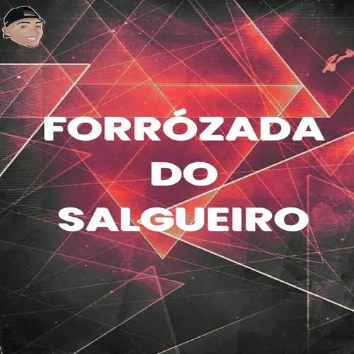 FORRÓZADA DO SALGUEIRO (Explicit)