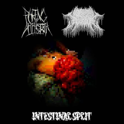 Intestinal Split (Explicit)