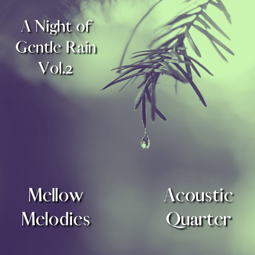 A Night of Gentle Rain Vol.2