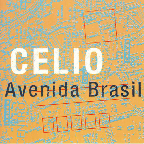 Avenida Brasil