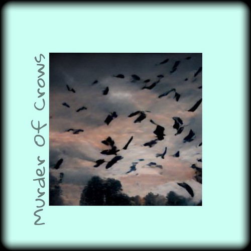 Murder of Crows