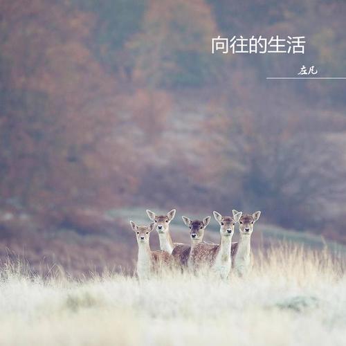 向往的生活