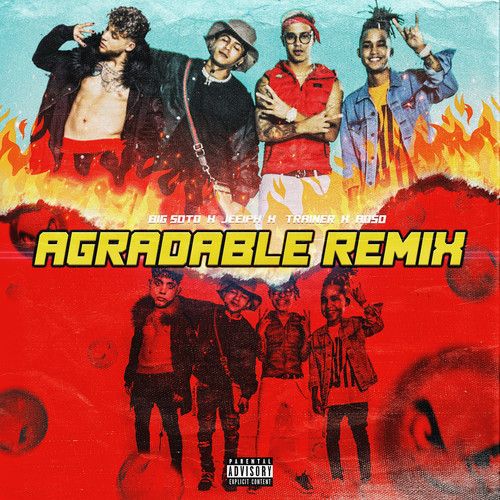 Agradable Remix (feat. Trainer) [Explicit]