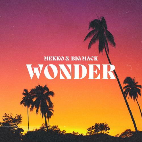 Wonder (feat. Big Mack) [Explicit]