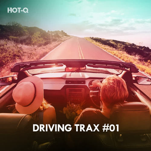 Driving Trax, Vol. 01