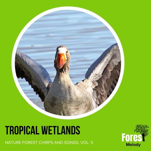 Tropical Wetlands - Nature Forest Chirps and Songs, Vol. 5