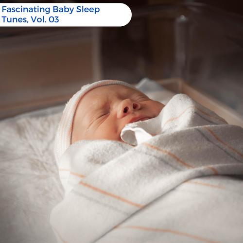 Fascinating Baby Sleep Tunes, Vol. 03