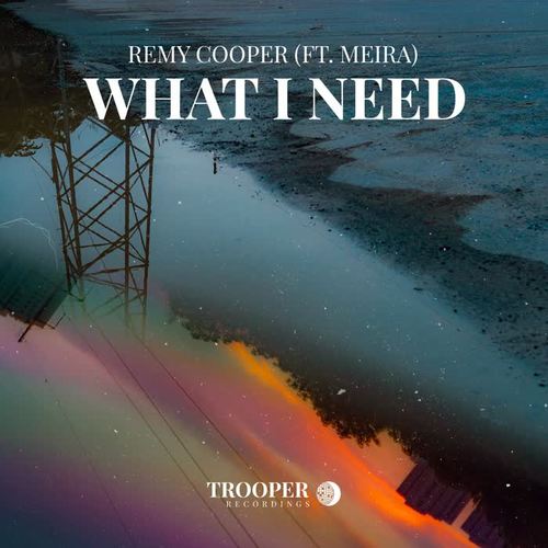 What I Need (feat. MEIRA)