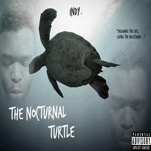 The Nocturnal Turtle (Explicit)