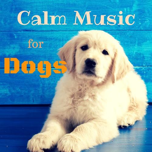 Calm Music for Dogs – Relaxing Nature Sounds to Soothe Anxious Pet, Music Therapy, Pet Relaxation