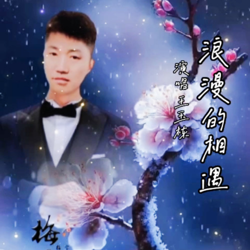 浪漫的相遇