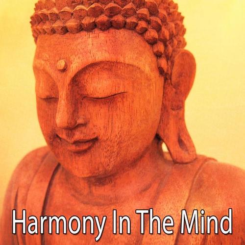 Harmony In The Mind