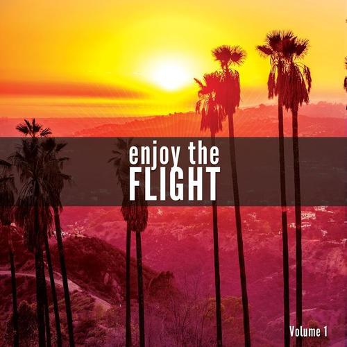 Enjoy The Flight, Vol. 1 (A Smooth Airplane Music Journey)