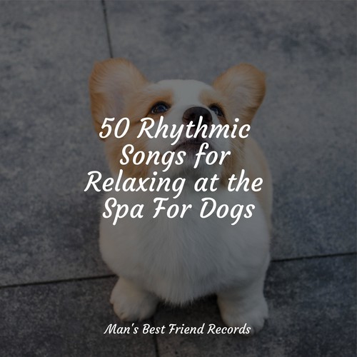 50 Rhythmic Songs for Relaxing at the Spa For Dogs