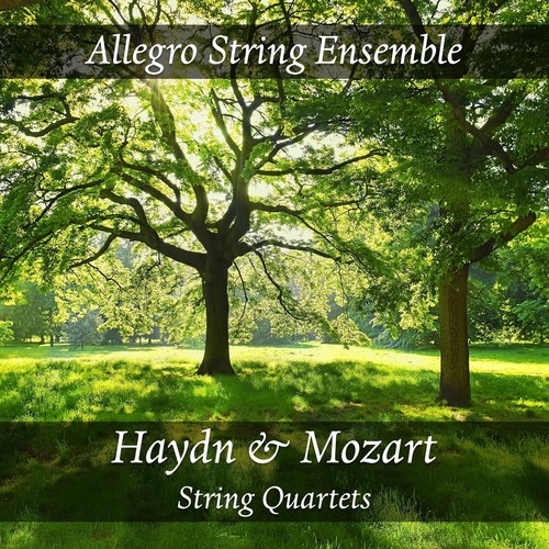 Haydn & Mozart String Quartets