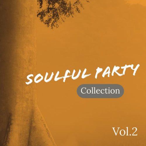 Soulful Party Collection, Vol. 2