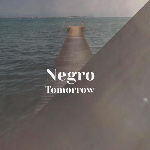 Negro Tomorrow