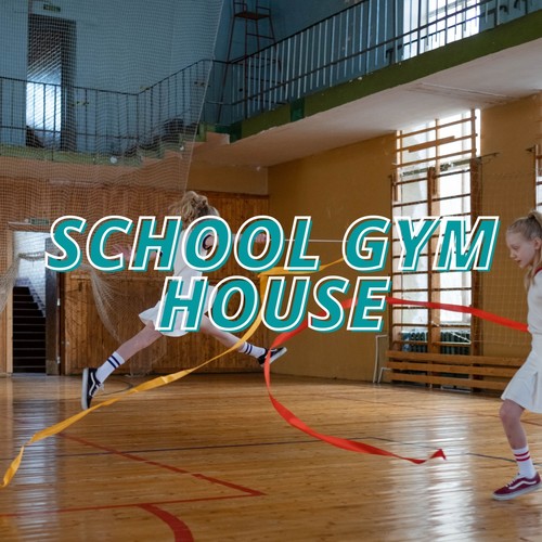 School Gym House