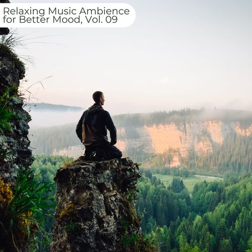 Relaxing Music Ambience For Better Mood, Vol. 09