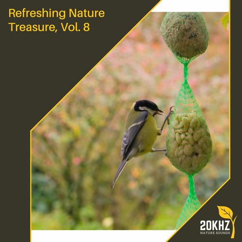 Refreshing Nature Treasure, Vol. 8