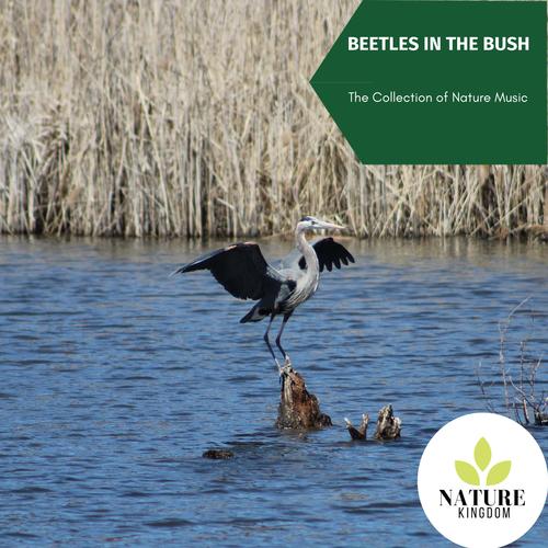 Beetles in the Bush - The Collection of Nature Music