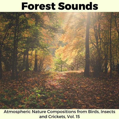 Forest Sounds - Atmospheric Nature Compositions from Birds, Insects and Crickets, Vol. 15