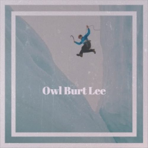 Owl Burt Lee