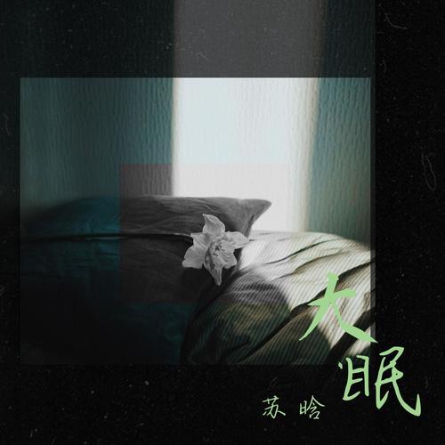 大眠 - 苏晗