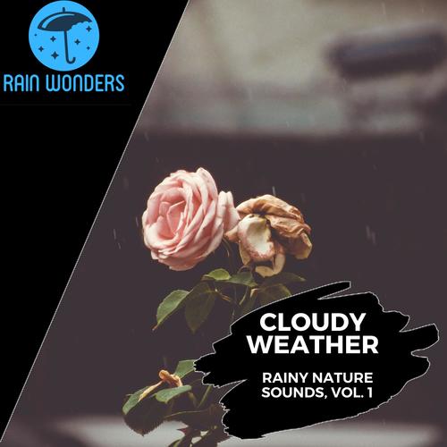 Cloudy Weather - Rainy Nature Sounds, Vol. 1