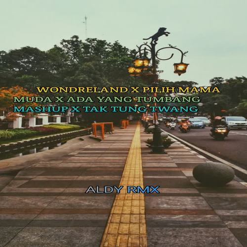 WONDRELAND / PILIH MAMA MUDA / ADA YANG TUMBANG MASHUP / TAK TUNG TWANG