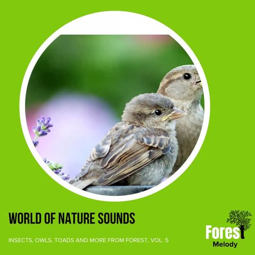 World of Nature Sounds - Insects, Owls, Toads and More from Forest, Vol. 5