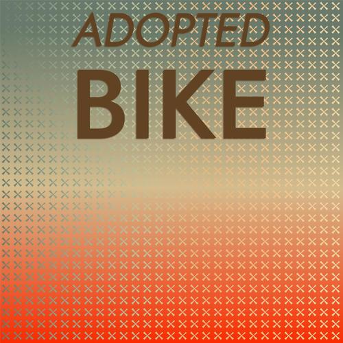 Adopted Bike