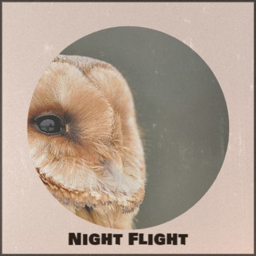 Night Flight