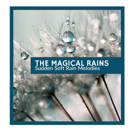 The Magical Rains - Sudden Soft Rain Melodies