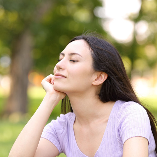 Serene Nature's Tranquility: Calming Rain and White Noise for Relaxation