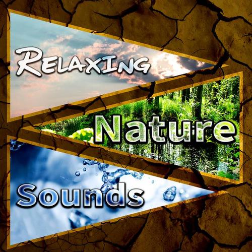 Relaxing Nature Sounds - Meditation and Deep Sleep, Hypnosis, New Age Ambiance for Massage, Sound Therapy for Reduce Stress, Study, Spa, Relax, Yoga