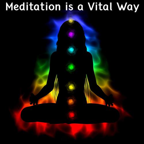 Meditation Is A Vital Way