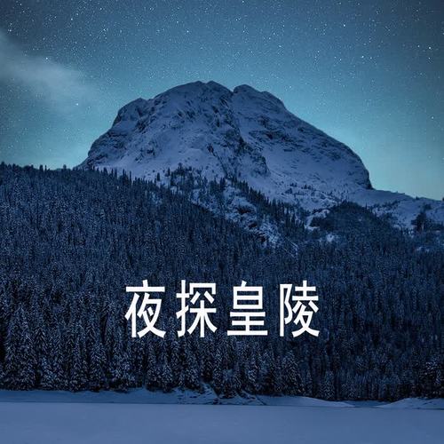 夜探皇陵